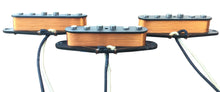 Load image into Gallery viewer, Texas Spirit Stratocaster™ Set
